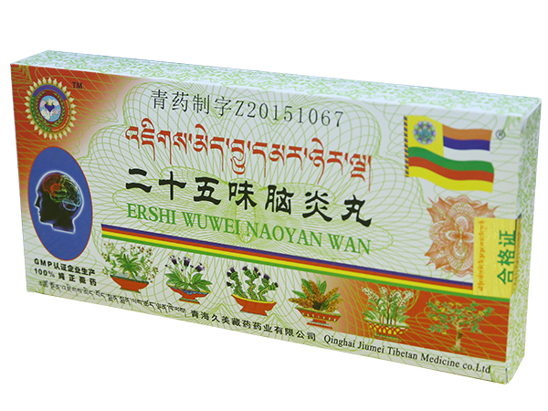 二十五味腦炎丸