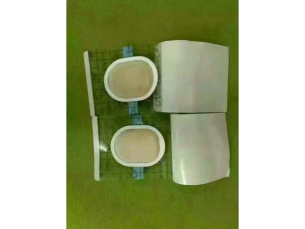 東進藥業(yè)，沙蒿子透皮貼全國招商