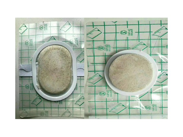 沙蒿子餅透皮貼廠家