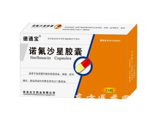 諾氟沙星膠囊