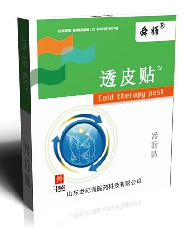 中藥沙蒿子透皮貼膏藥