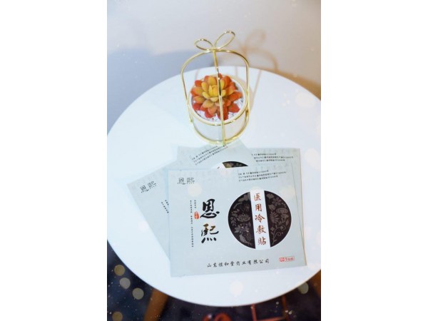 恩熙醫(yī)用冷敷貼生產(chǎn)廠家