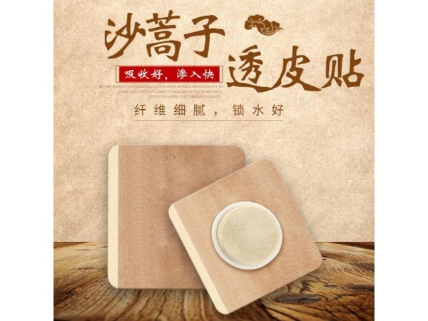 透皮貼 亞寶透皮理療貼