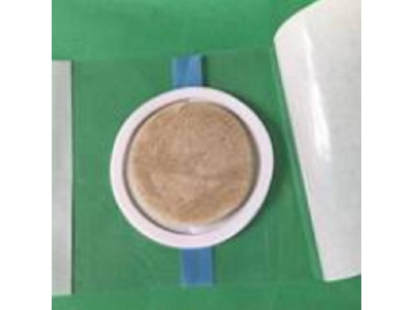 透皮貼 亞寶透皮理療貼