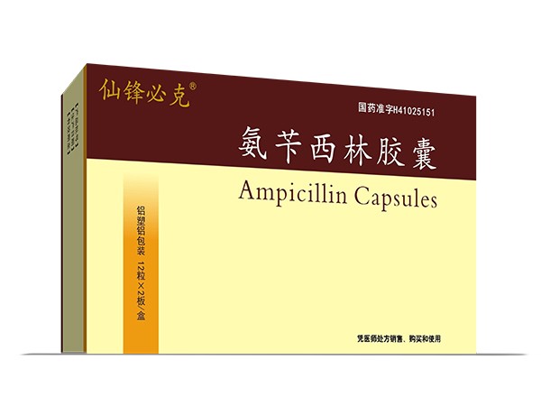 氨芐西林膠囊