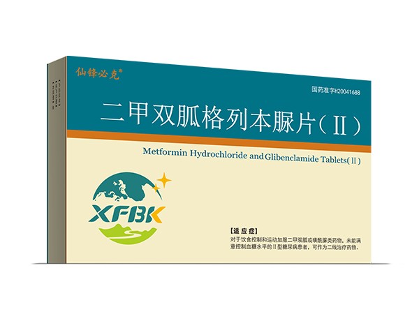二甲雙胍格列本脲片（Ⅱ）