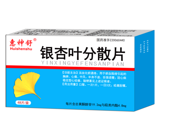 銀杏葉分散片 48片 大含量